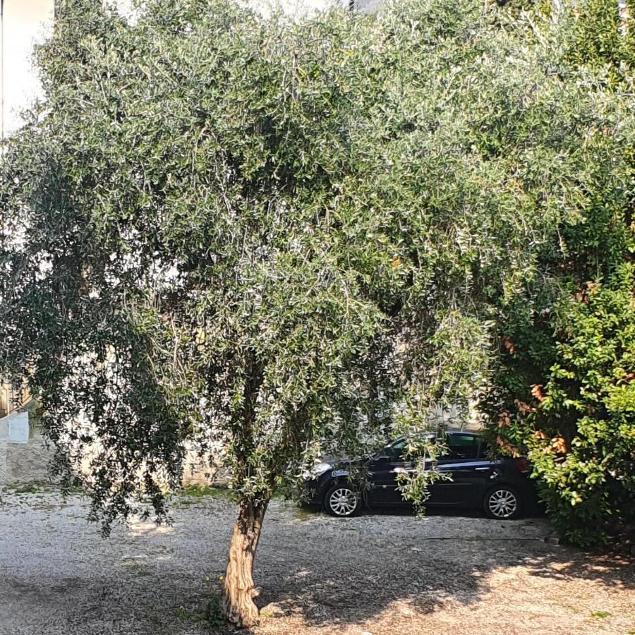 Appartamento Lido 'With Parking Space Included' Toscolano Maderno Εξωτερικό φωτογραφία